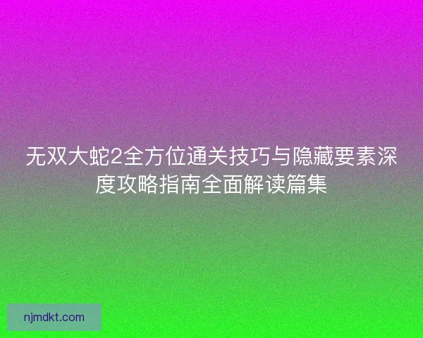 无双大蛇2全方位通关技巧与隐藏要素深度攻略指南全面解读篇集