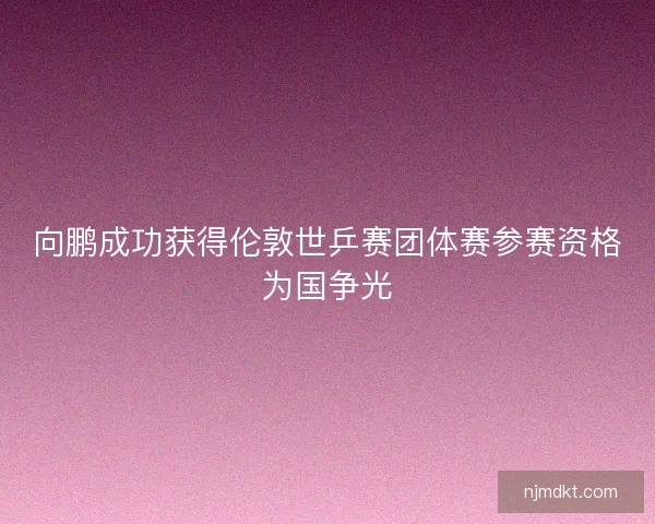 向鹏成功获得伦敦世乒赛团体赛参赛资格为国争光